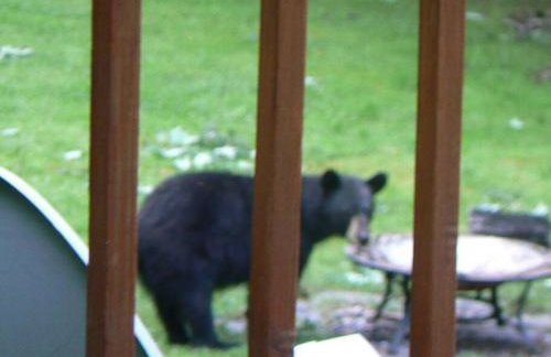 Where Memories Are Made - Foto 35