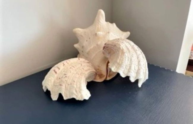 Exquisite Beachfront Residence With Luxurious Interiors The Cozy Clam Pevensey Bay - Foto 13