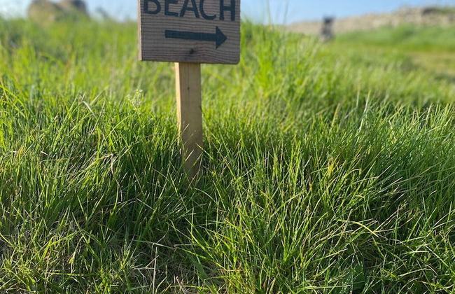 Elm - Bell Tent 2-4 Person Anglesey, North Wales - Photo 16
