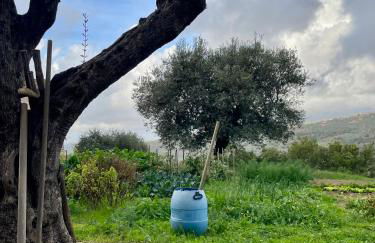 Pink House - Foto 19