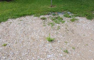 Apartment Moosblick zwischen Bergen und See - Foto 16