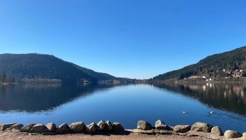 Au Temps Passé - Photo 4