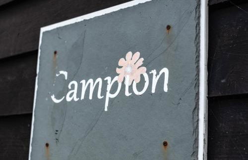 Campion Lodge - Photo 24