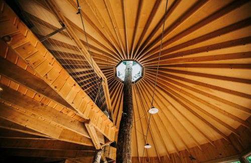 Escape to Tree House Island Life - Foto 26