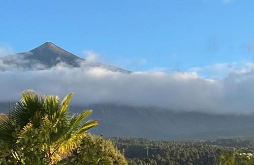 Parasol - Finca Tabaiba by TOR - Foto 62