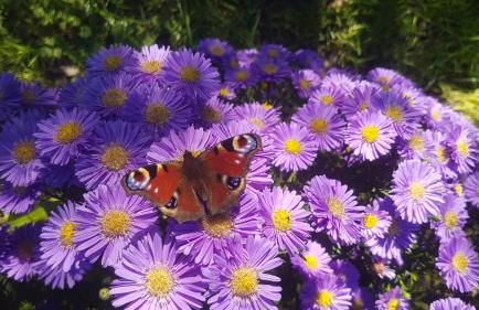 in die Ferien mit 16 Freunden - Foto 67