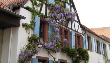 Im Alten Kaufhaus - Foto 2