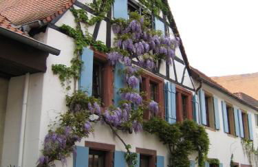 Im Alten Kaufhaus - Foto 2