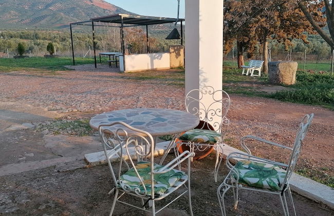 Cortijo Vizconde - Photo 60