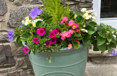 The Cottage at Ashbrook - Charming Country Cottage near Belfast - Foto 24