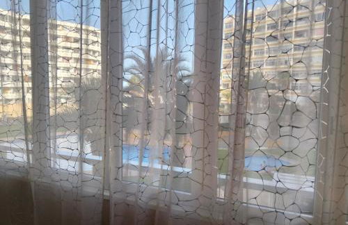 Mividacanaria - Foto 20