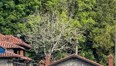 La Infinita Oreña - Foto 5