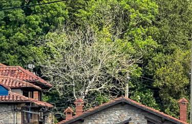 La Infinita Oreña - Foto 5