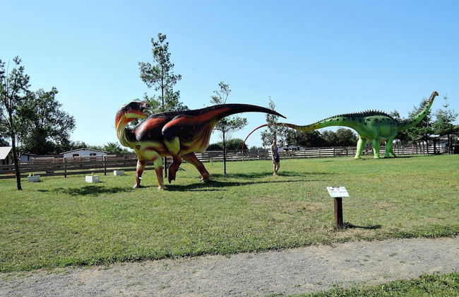 Pretty Bungalow in Wrzosowo With Garden - Photo 45