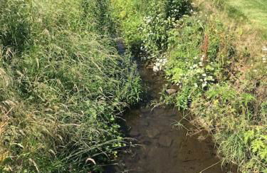 Wend Gardens Annx Carleton Skipton Pet friendly - Photo 24