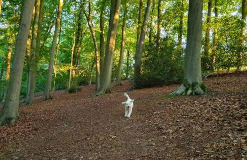 Stylish Town Centre Apartments - Foto 66