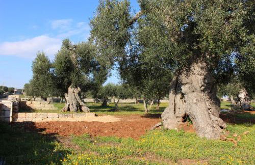 Villa Aurora - Foto 49