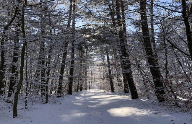 A Wooden, Eco-friendly House by the Goszcza Lake. Living Room, 2 Bedrooms - Foto 68