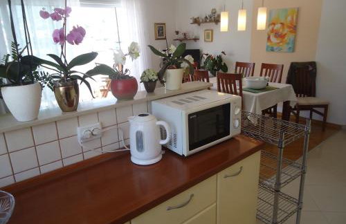 M. DE DOMINISA 5 - Foto 4