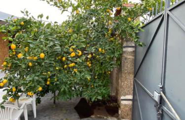 Alojamento Local dos Reis - Foto 21