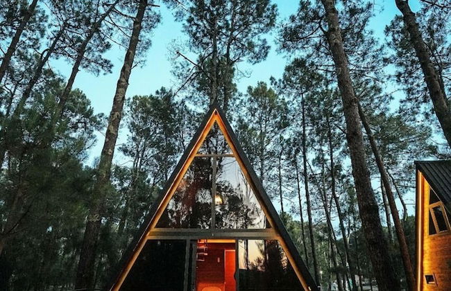 Seaside Chalet Guruli Kokhebi - Photo 25