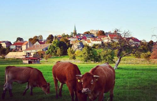 Fewo Altenstein - Photo 14