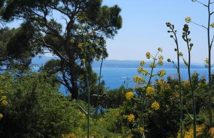 Apartment Tony close to everything - Foto 78