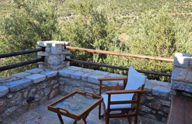 Studio Tsiliviani - Foto 11