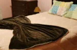 Silvia's House - Photo 14