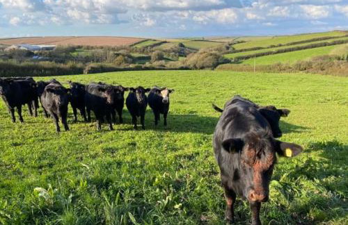 Secluded Escape near Salcombe - Newhouse Barn. - Foto 65