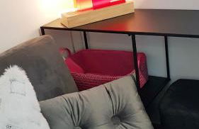 LES COQUILLAGES, 2 salles de bains, lits faits et tout à pied - Foto 17