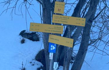 Les racines et les cimes - Foto 15