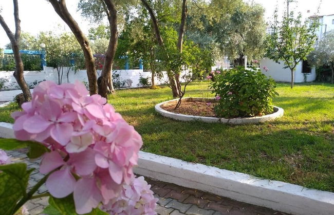 Hotel Makedonia - Photo 14