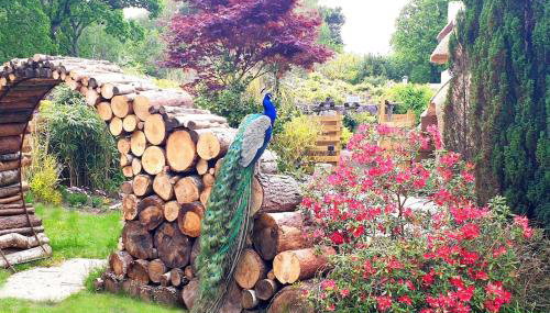 Little Thatch - Foto 3