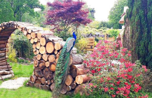 Little Thatch - Foto 3