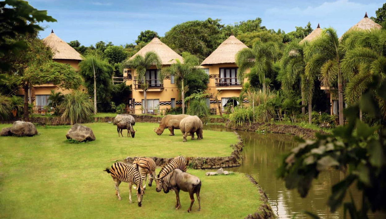 Take a Safari in Bali