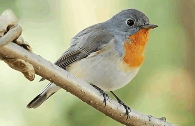 Tree of Life Junoon in The Hills - Foto 26