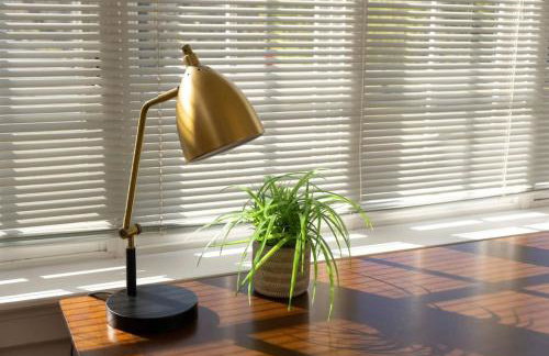 Hyde Park Comfort with Office Near Everything - Photo 22