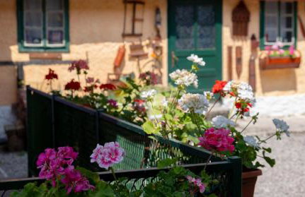 Propolis house - Foto 13