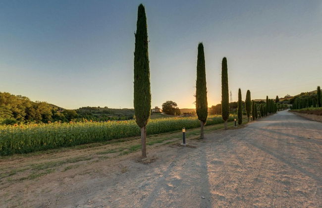 Palagina la cascina - Foto 66