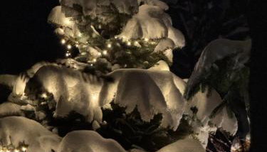 DOMEK POD TRÓJMORSKIM WIERCHEM - Foto 2