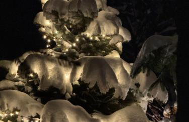 DOMEK POD TRÓJMORSKIM WIERCHEM - Foto 2