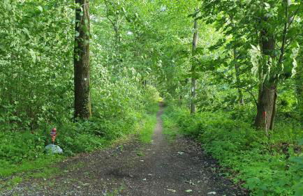 FeWo Herbst in der Villa Waldrand mit Luxus Bad - Foto 25