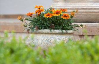 Villa Maltina - Foto 39