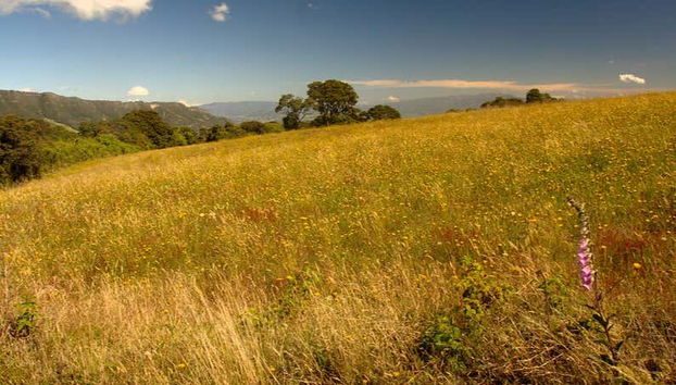 Fúquene Hiking Tour - Foto 3