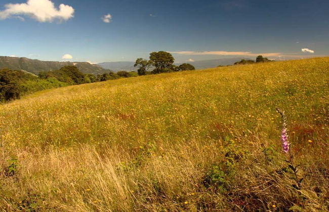 Fúquene Hiking Tour - Foto 3