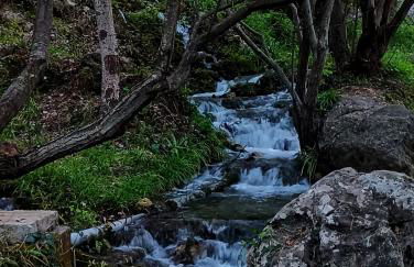 LA CRUZ DE LA ATALAYA - Foto 33