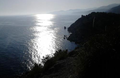 vistas a mar, en paraje natural - Foto 6