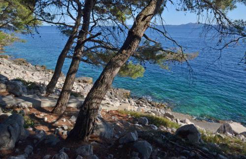 Apartments Surjan - Photo 48