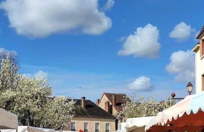 Maison avec jardin Auxerre - Foto 33